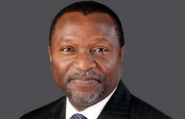 Maritime: Increased indigenous participation will boost diversification drive –FG