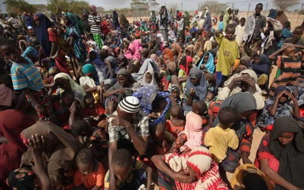 FG to resettle 22,071 IDPs in Niger –Minister