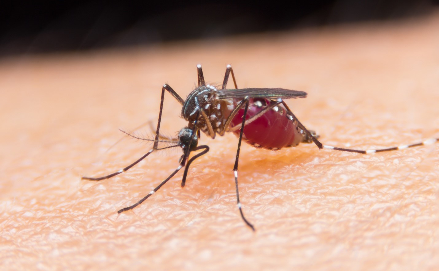 Cameroon rolls out world’s first malaria vaccine