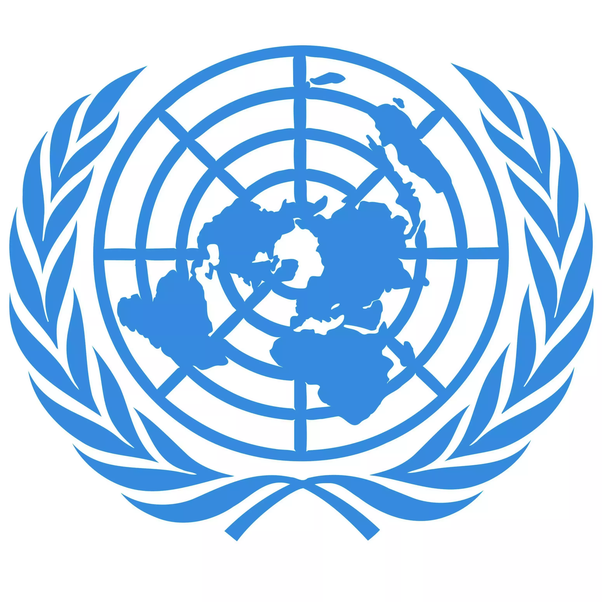 Eating less meat can help reduce risk of pandemic –UN