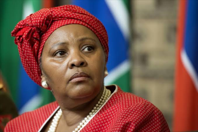 We can’t stop xenophobic attacks, S’African defence minister says