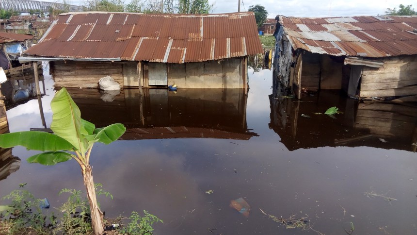 Flood displaces 49,000 in Yobe