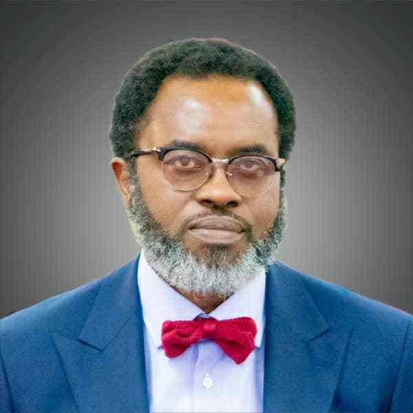 Lagos govt releases online version of Judicial Panel of Inquiry reports