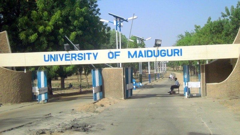 FEC session: Tinubu renames UNIMAID after Buhari, pays tribute