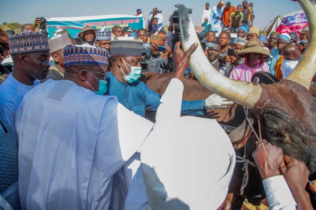 Senate President flags off free mass animal vaccination in Yobe