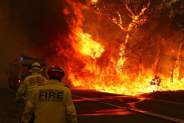 Australia fires: NSW declares week-long state of emergency