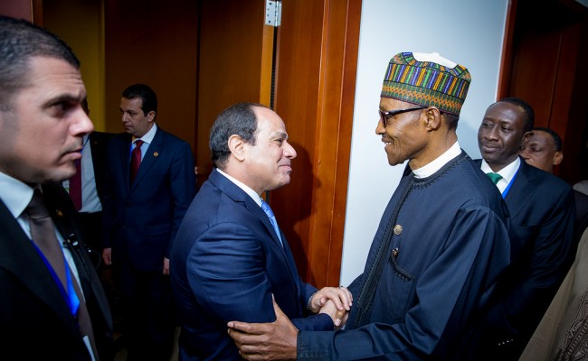 Buhari, Egyptian president parley on counter-terrorism