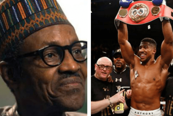 Lesson to learn from Anthony Joshua’s victory –Buhari