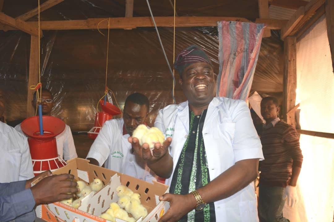Ogun kicks off Broiler Empowerment Programme, takes delivery of birds