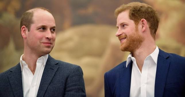 Harry and William deny 'offensive' bullying claims