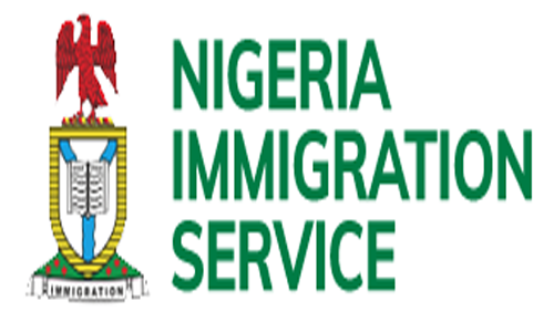 Niger crisis: NIS deploys personnel to check illegal routes