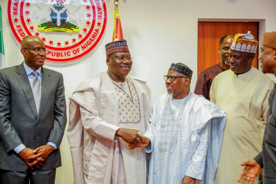 Why we need to revisit power sector privatisation -Senate President