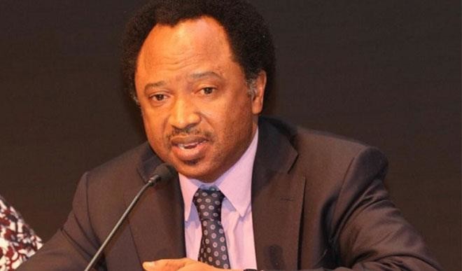 Don’t add to our woes, Shehu Sani appeals to Niger Delta militants