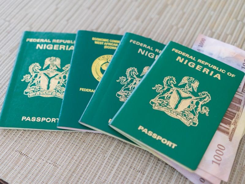 Why we increased passport fees –NIS