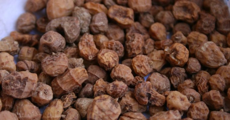 Katsina to begin export of tiger nuts, hibiscus sorrel -Masari