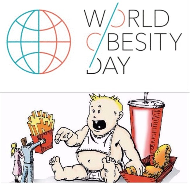 World Obesity Day: Expert advises Nigerians on healthy eating habits