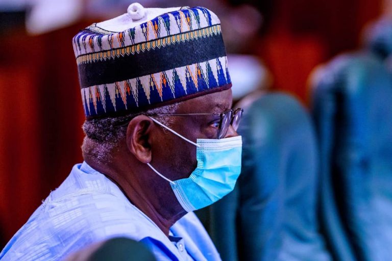 Ibrahim Gambari formally announced as Buhari’s new Chief of Staff