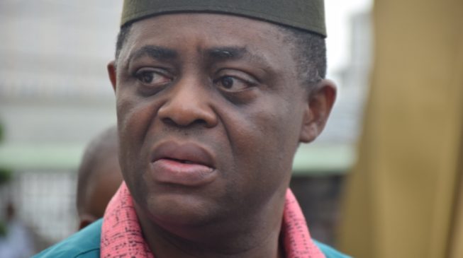 Coup tweet: I was grilled for five hours by DSS –Fani-Kayode