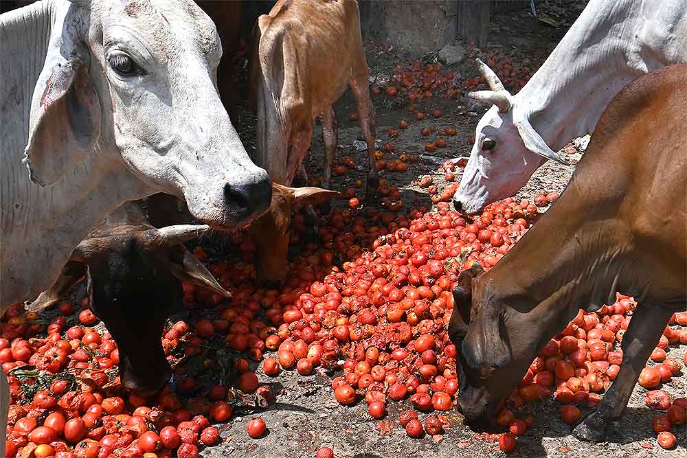 Foodstuff traders end supply embargo to Southern Nigeria