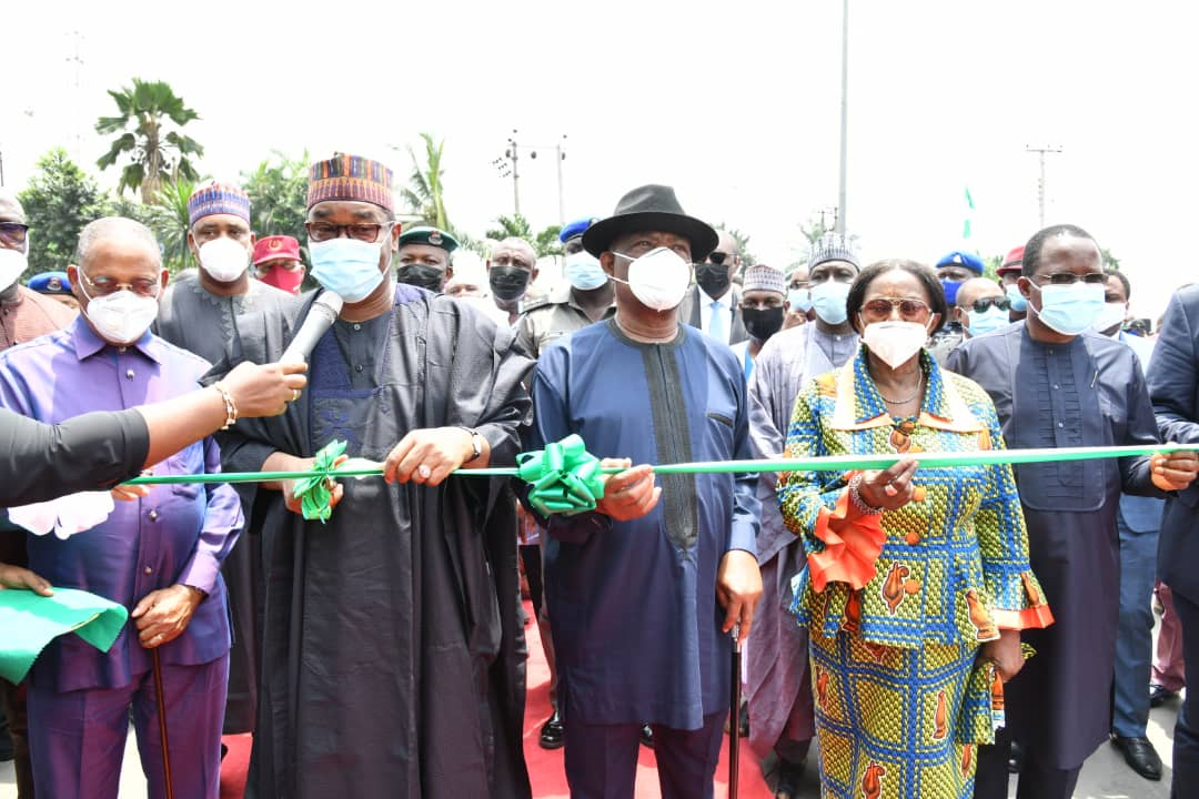 We must not allow criminal elements to overrun Nigeria –Shema