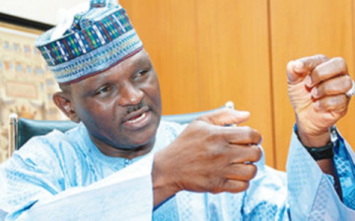Why constitutional amendment won’t work -Al Mustapha
