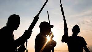 Gunmen kill three in attack on Emir’s palace in Niger