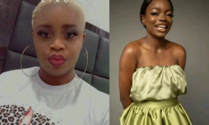 BBNaija 2021: Arin, Princess evicted