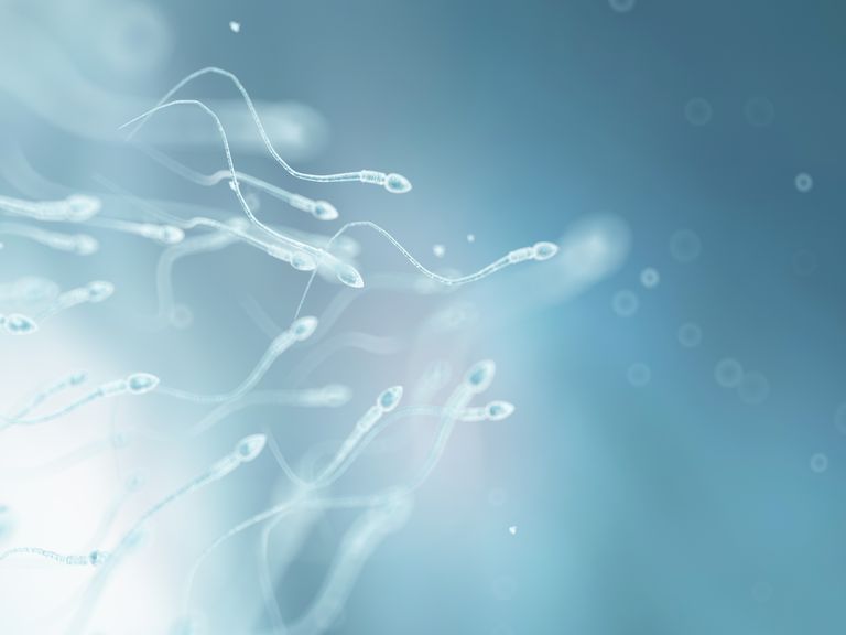 Storage limits for sperm, eggs, embryos in UK increased to 55 years