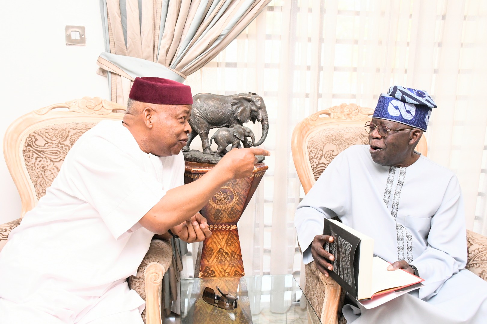 Nnamani to Tinubu: Your contributions to democracy stand you strong