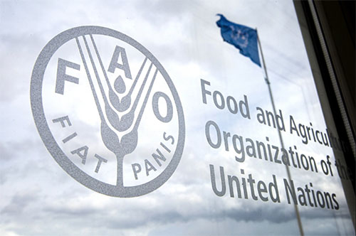 Over 12m Nigerians to face hunger –FAO