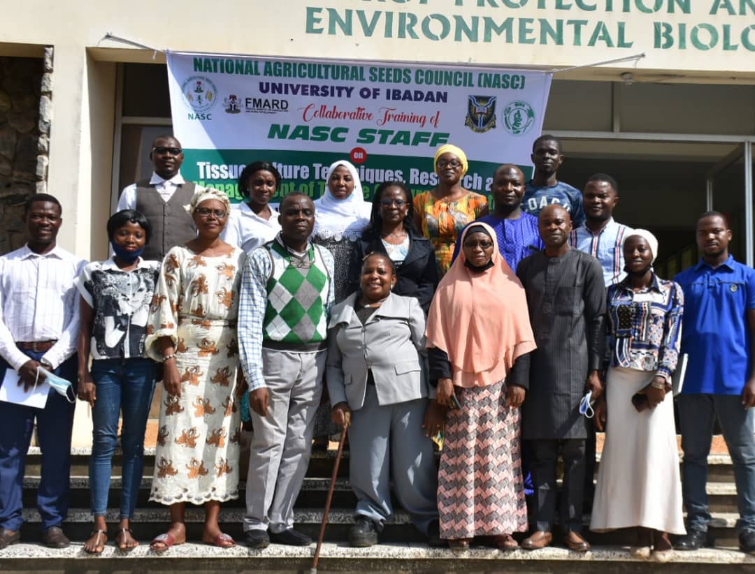 Seed council, UI train staff on management of tissue culture laboratory