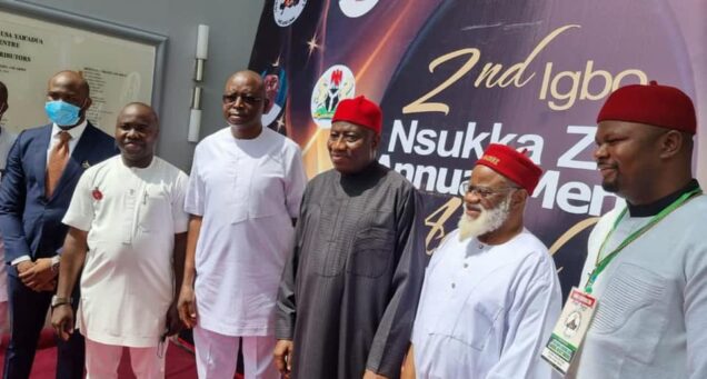 Why I convened 2014 national conference –Ex-President Jonathan