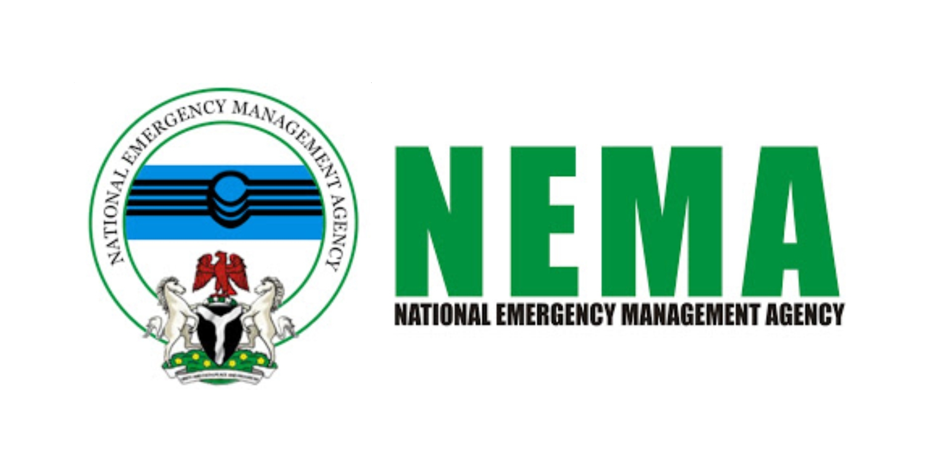 Tinubu appoints new NEMA director-general