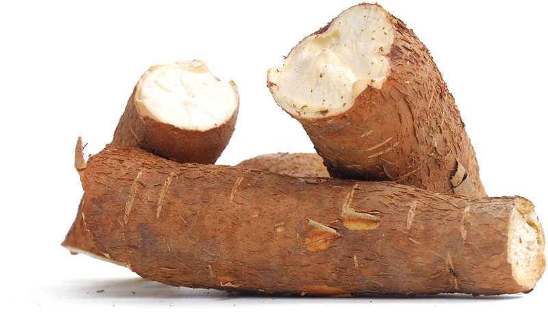 Cassava, not cause of diabetes, goitre –Researcher