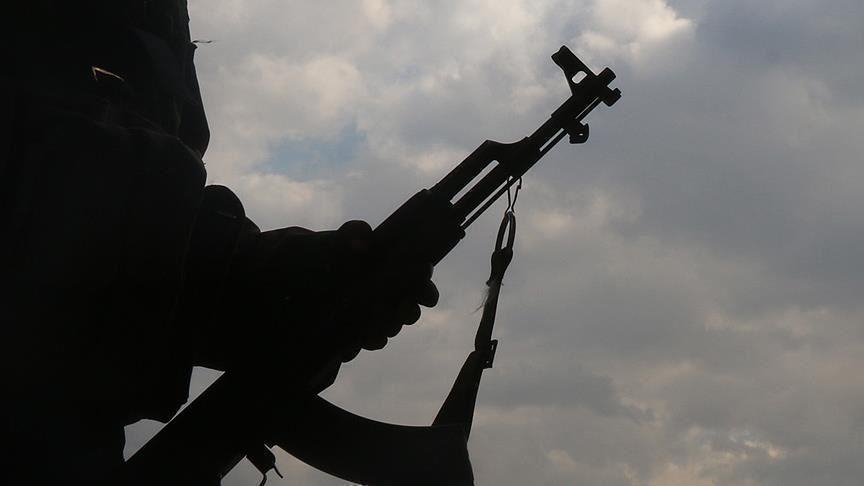 Again, gunmen kill two policemen in Imo