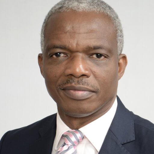 JUST IN: Buhari appoints Dr. Doyin Salami as Chief Economic Adviser