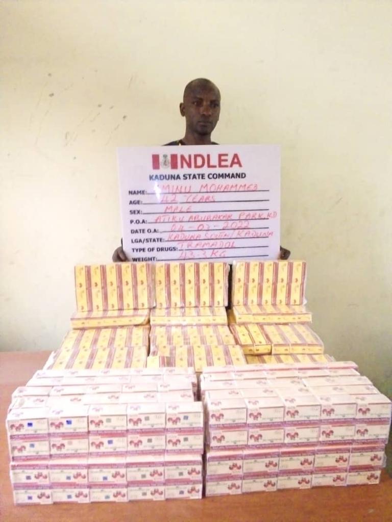 NDLEA recovers 294,440 Tramadol tabs, others in Delta, Bauchi, MMIA