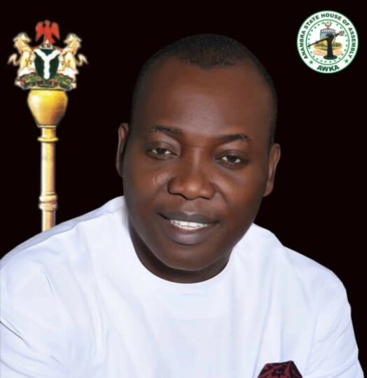 Soludo confirms beheading of Anambra lawmaker, stakes N10m reward