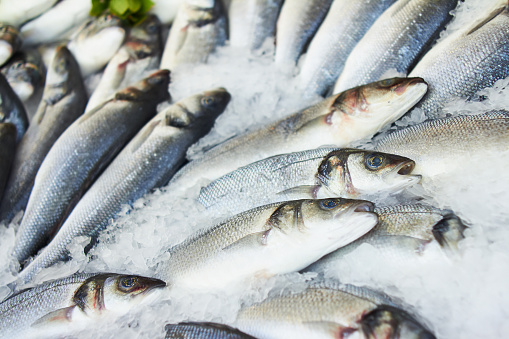 Demand for fish in Nigeria exceeds 3.6m metric tons –FG