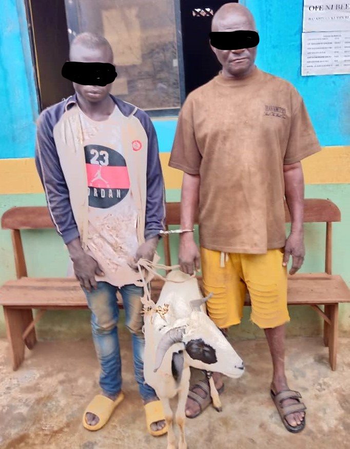 Eid-el-Kabir: Two men arrested for stealing ram