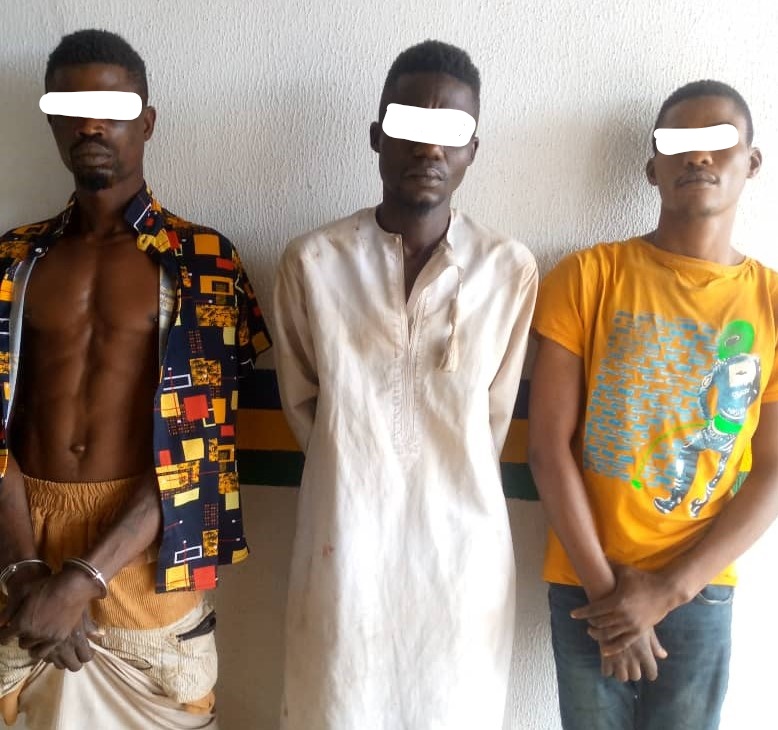 Ogun: Police arrest three deadly cultists, serial killers