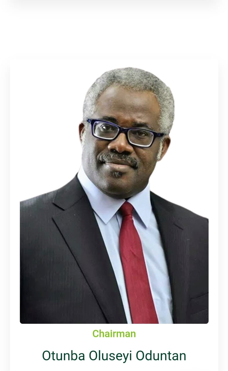 WEMABOD chair, Seyi Oduntan, others bag national awards