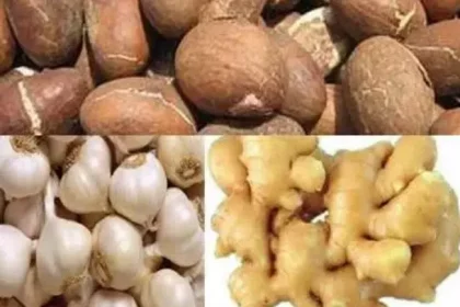Why ginger, bitter kola, others are good for consumption -Society