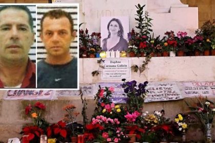 Two brothers plead guilty to killing journalist