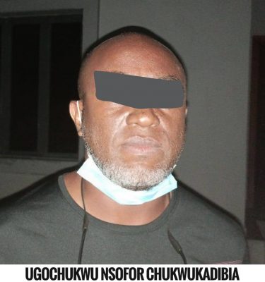 NDLEA recovers N8.8bn drugs, arrests billionaire drug baron