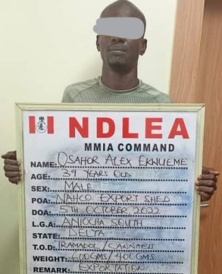 NDLEA intercepts over 2.4 million tramadol pills at Lagos airport