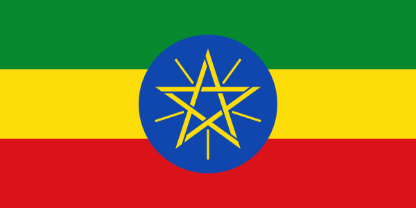 Ethiopia suspends visa on arrival to curtail insecurity –FG