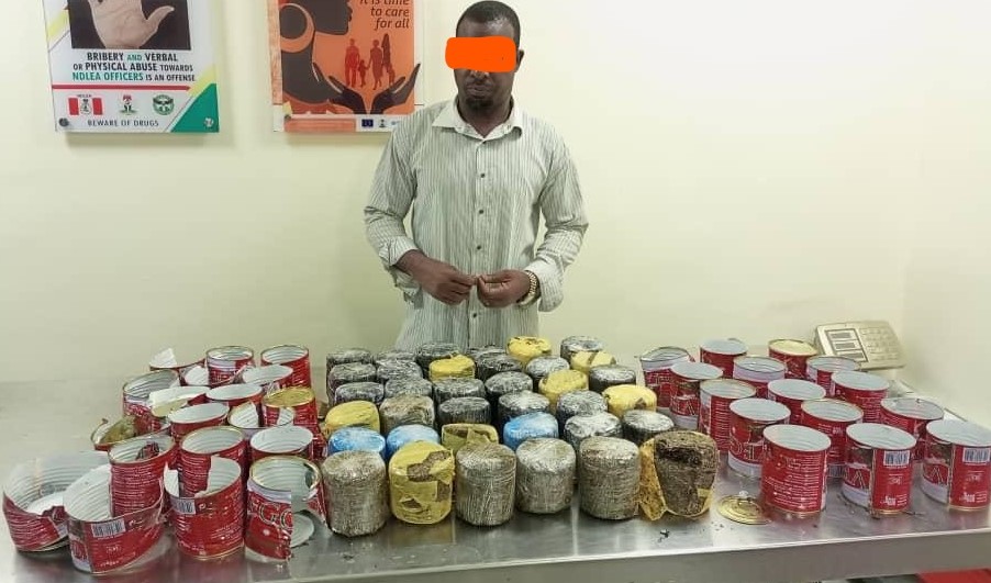 Sokoto village head, 10 others arrested over opioid pills, skunk