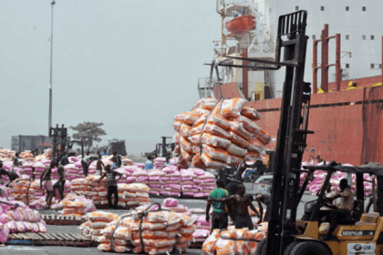 Global food imports to reach $2rtn -FAO