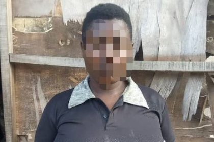 Woman arrested for alleged abduction of two children